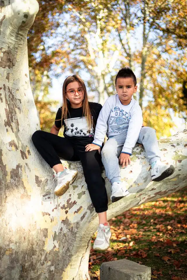 Two kids sitting on a tree branch surrounded by autumn leaves in a park setting.